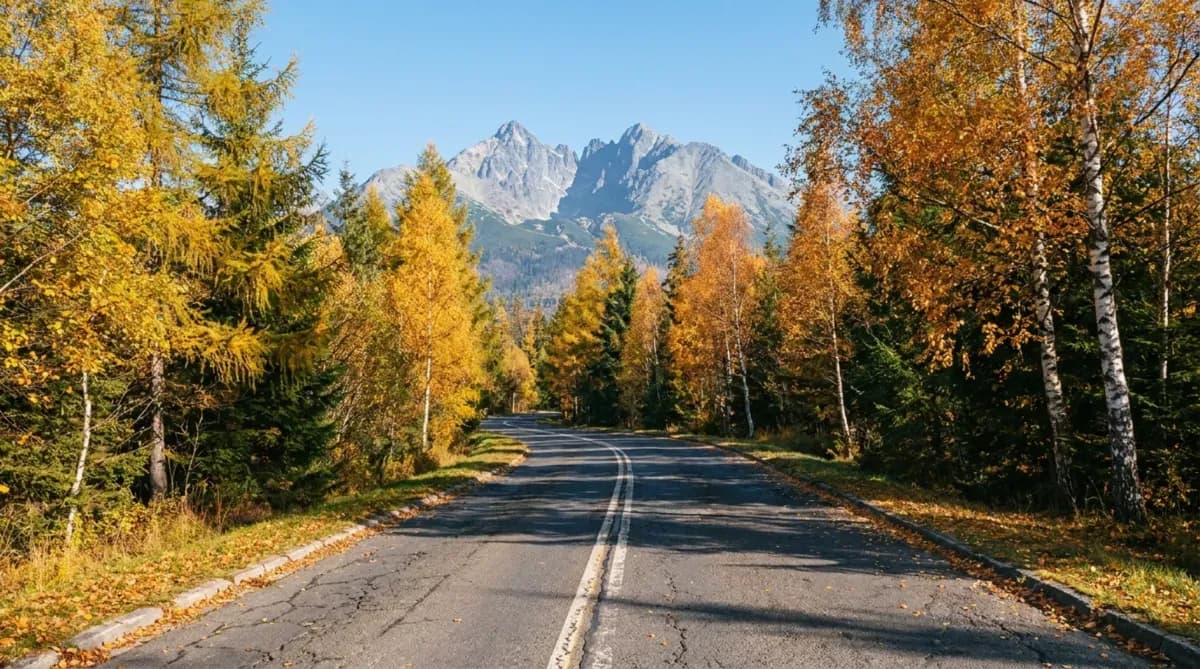 The Best Polish Road Trips: 7 Routes for Every Season
