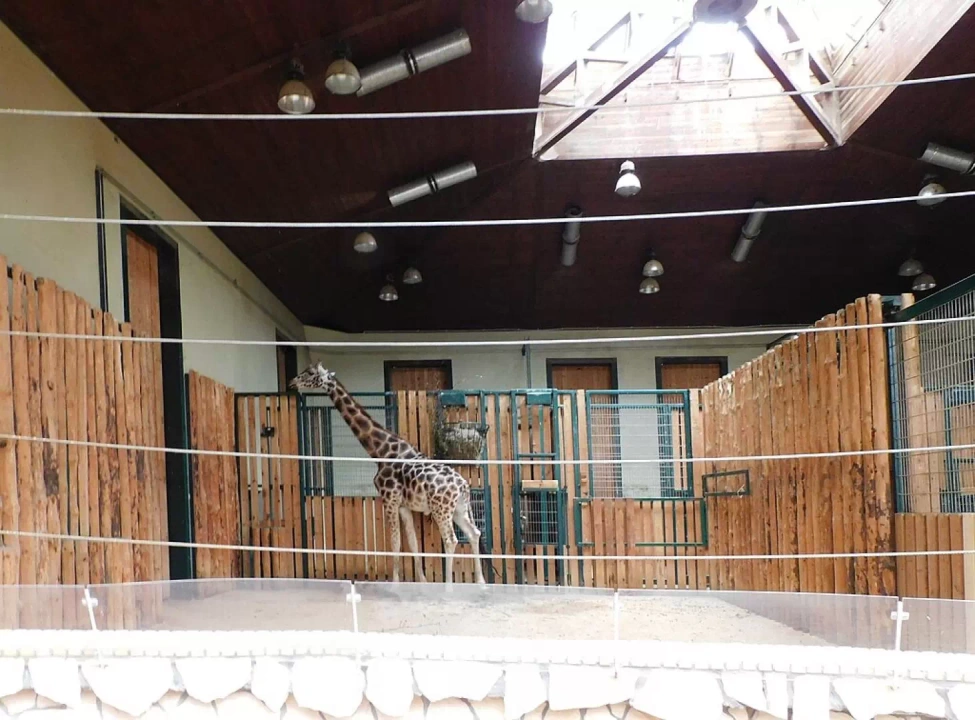 Gdański Ogród Zoologiczny