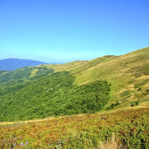 Bieszczady samochodem – co warto zobaczyć i co zwiedzić?