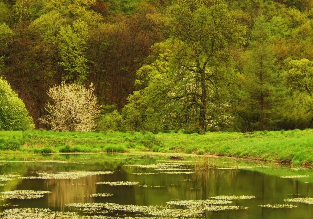 Dolina Krakowska Pradnik