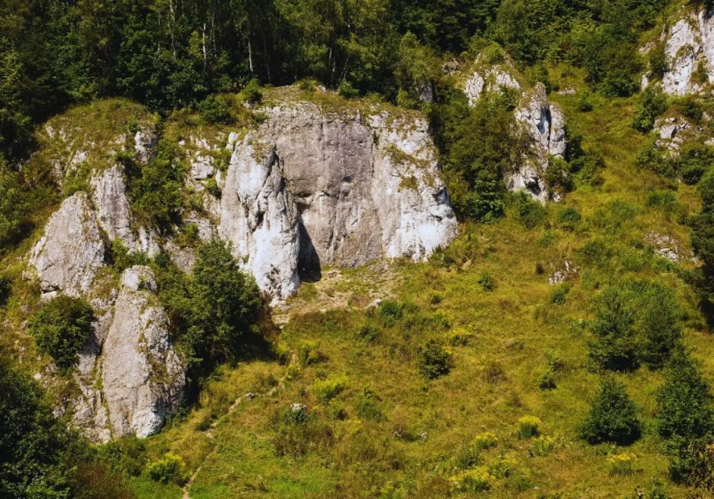 Skały w Dolinie Kobylance