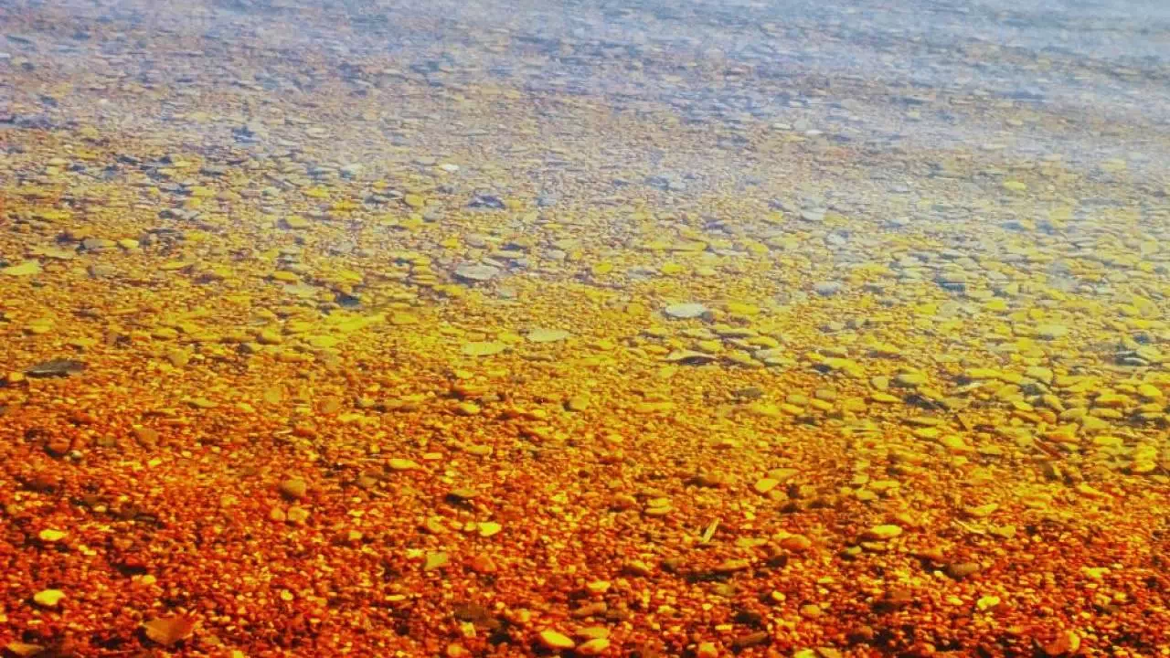 Czechy Kamencove jezioro / fot. Canva.com
