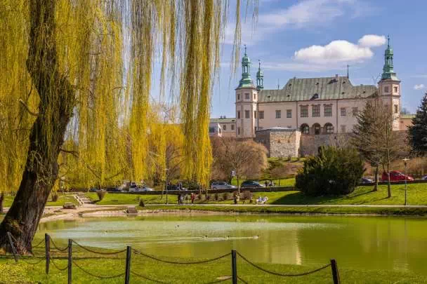 Wierzba nad wodą oraz Muzeum Narodowe w Kielcach