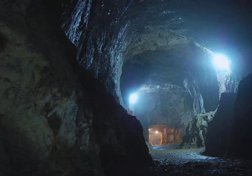 Os&oacute;wka Włodarz / fot. Wikipedia