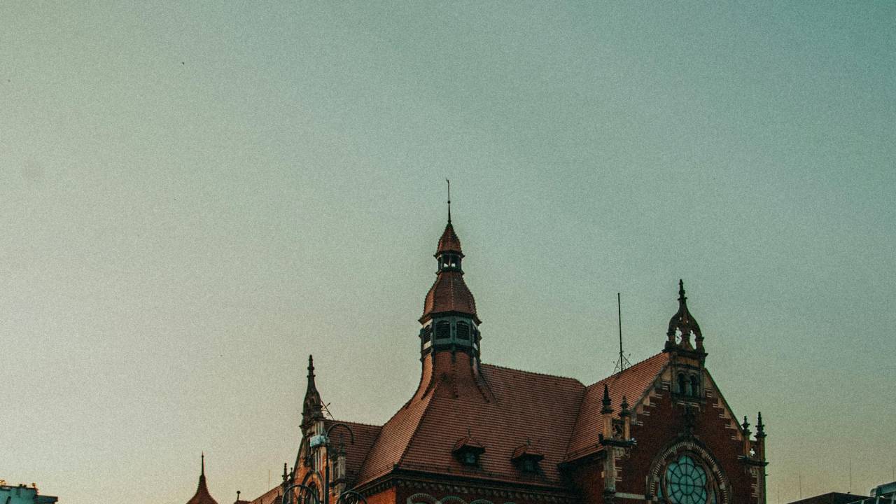 pexels-daniel-eliashevsky-6942366.jpg