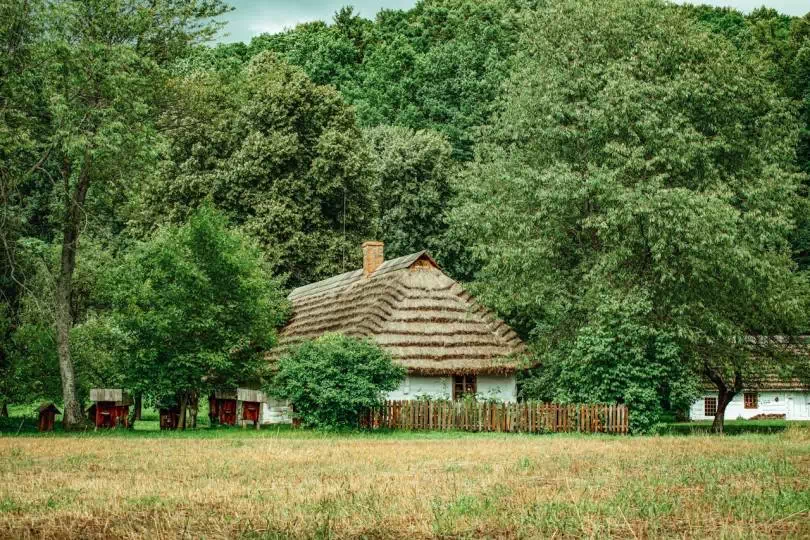 Rekonstrukcja chałupy Bojków/Łemków w Skansenie Budownictwa Ludowego, Sanok. / fot. Pexels