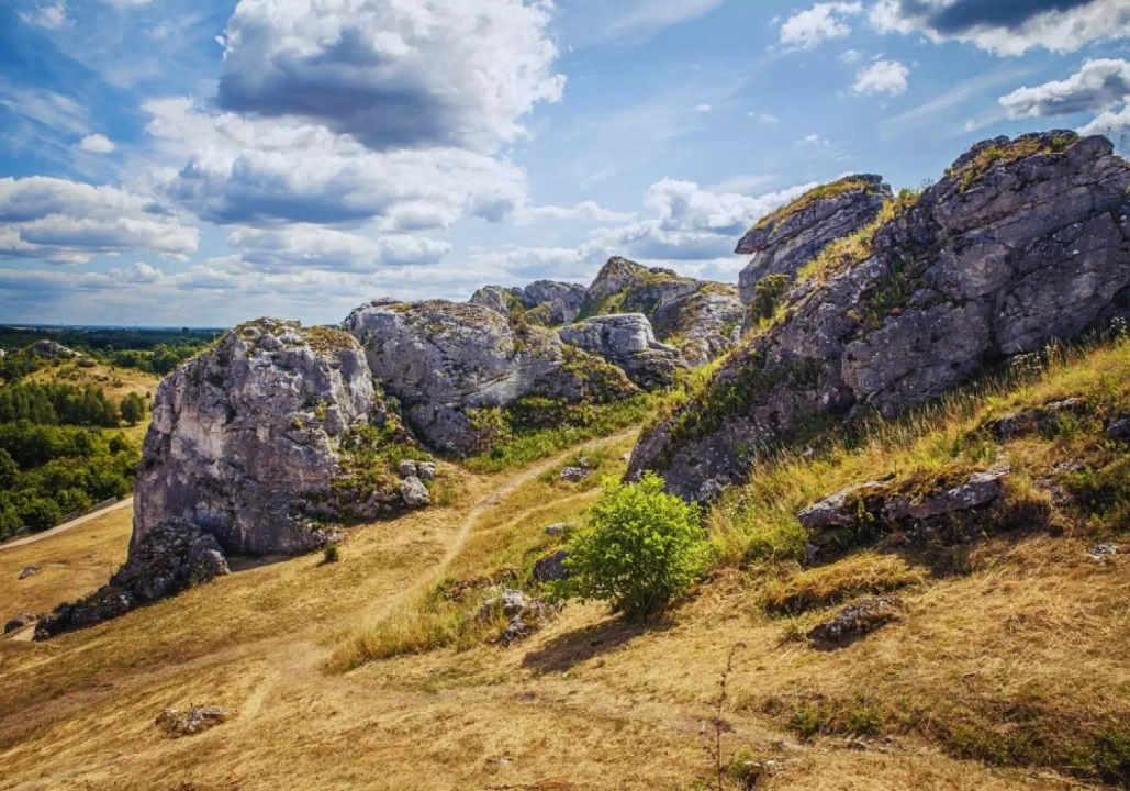 Skały, Jura Krakowsko Częstochowska