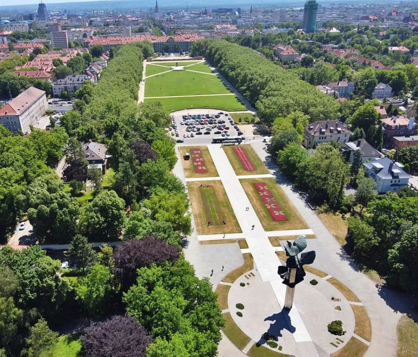 Rozległa przestrzeń zielona, jaka należy do Jasnych Błoni w Szczecinie, otoczona wysokimi i gęstymi drzewami.