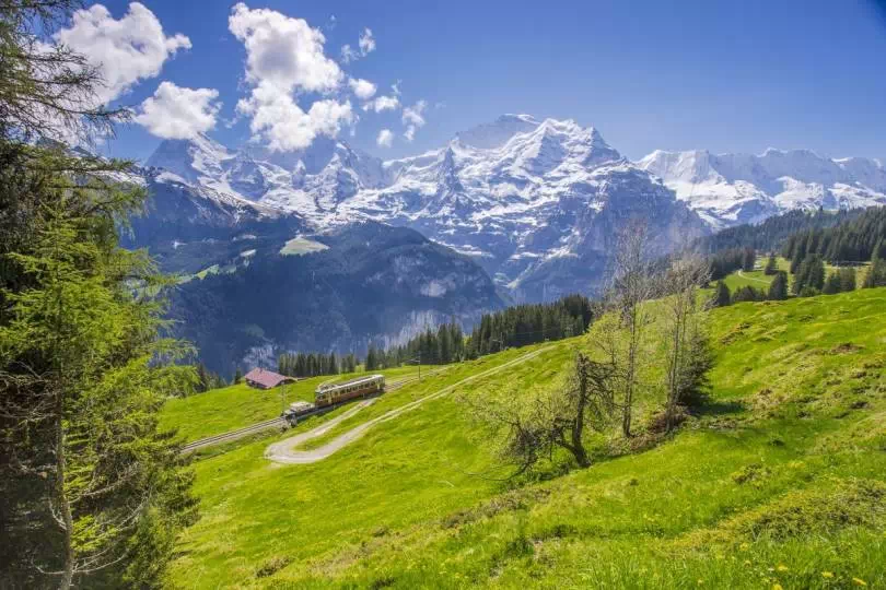 Szwajcaria samochodem - jak dojechać i co zabrać? / fot. Freepik