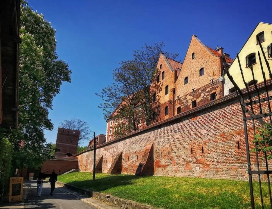 Rozgległe mury miejskie z czerwonej cegły, które mieszczą się w Toruniu