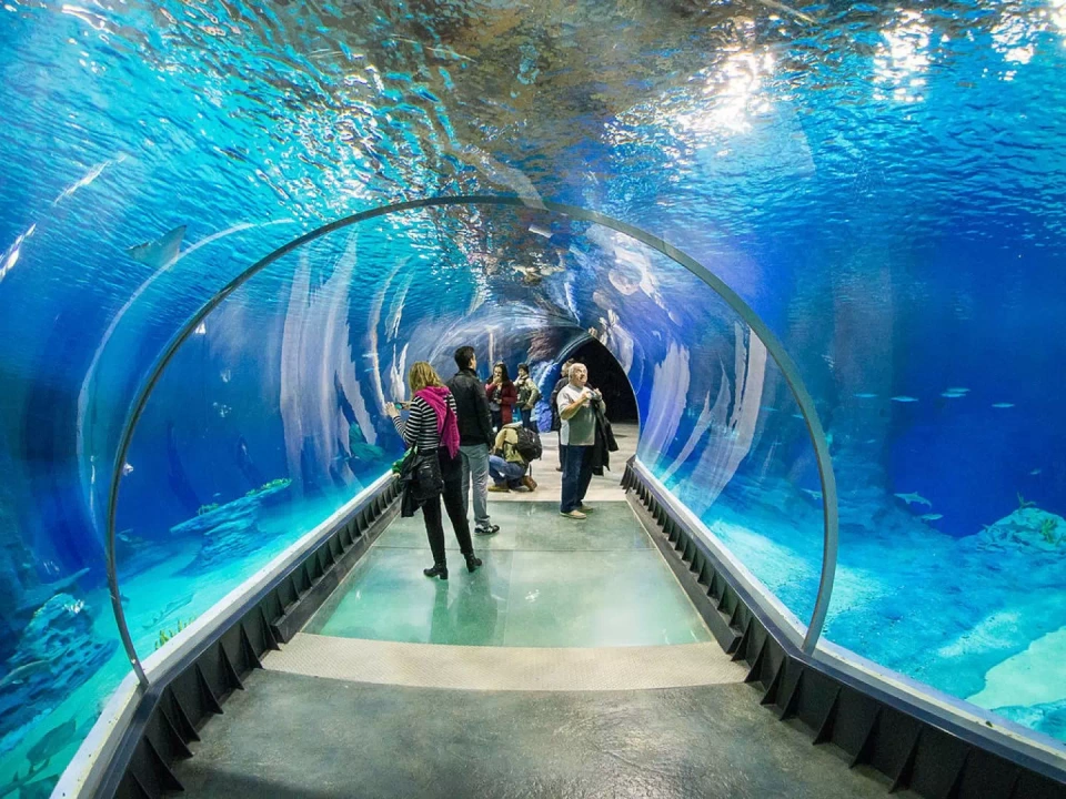 Tunel w Afrykarium we wrocławskim zoo