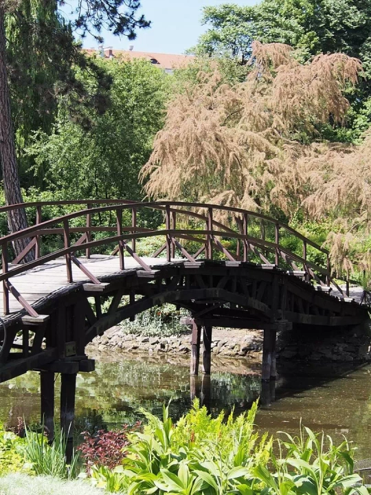 Ogród Botaniczny Uniwersytetu Wrocławskiego