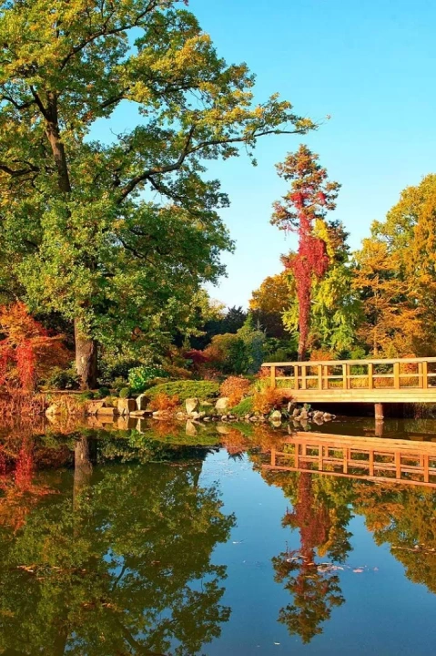 Ogród Japoński we Wrocławiu
