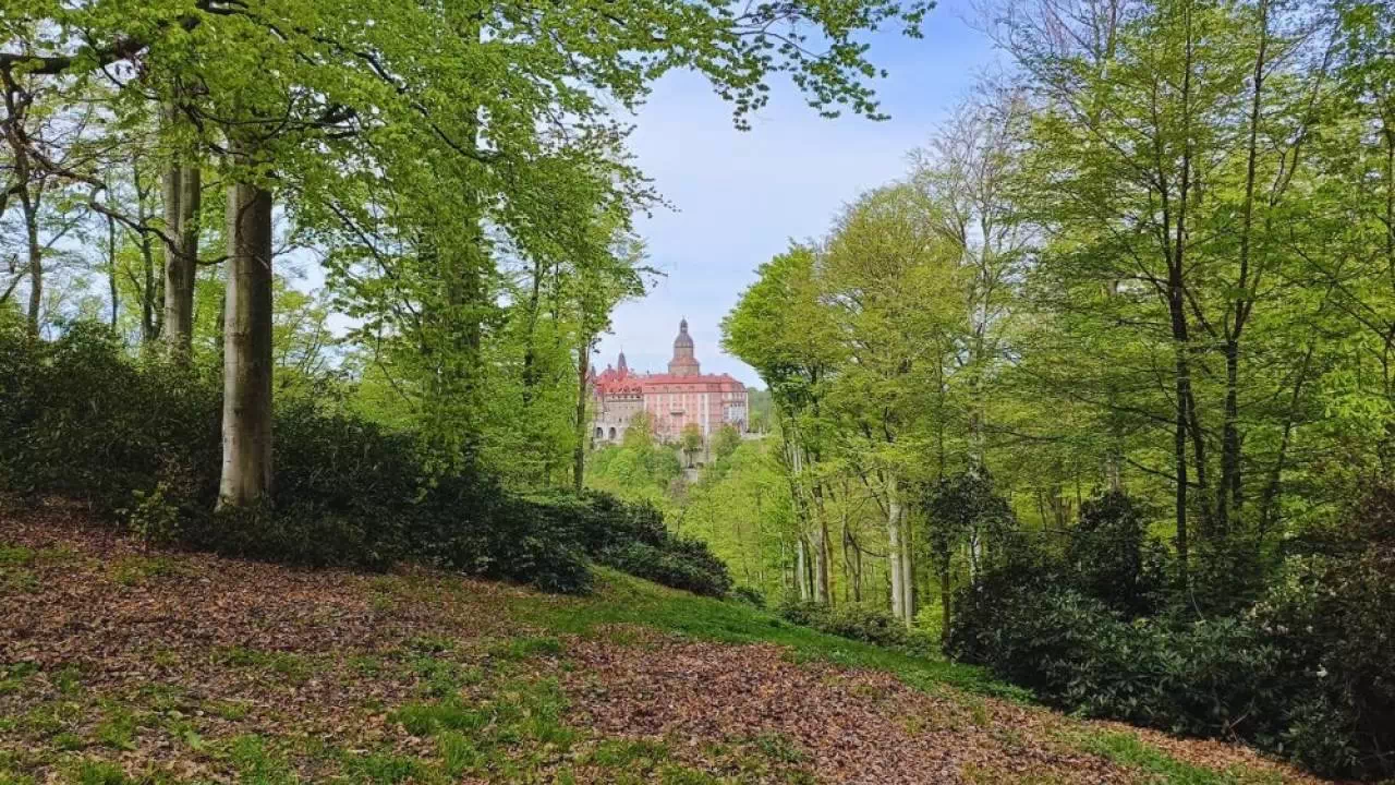 Zamek w Książu Włodarz 