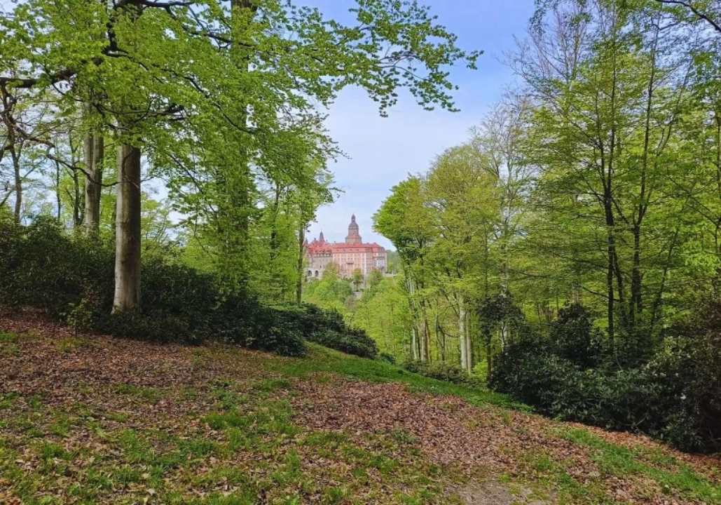 Zamek w Książu Włodarz 