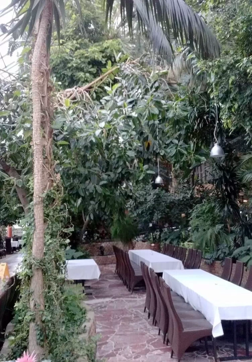 Palmiarnia w Zielonej Górze