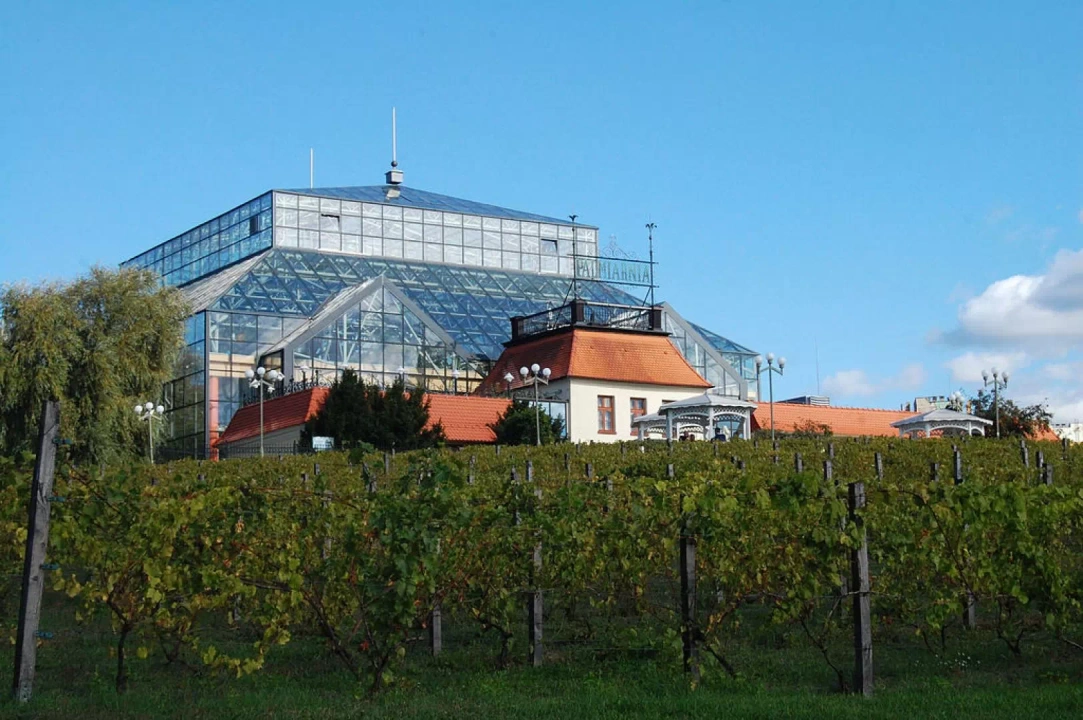 Palmiarnia w Zielonej Górze