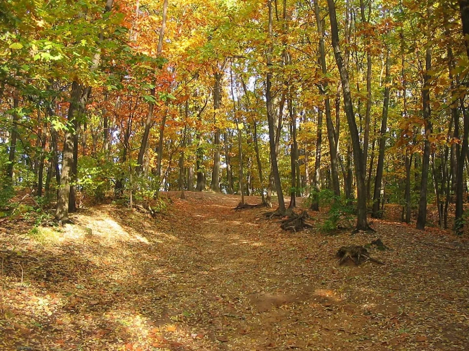Wzgórza Piastowskie w Zielonej Górze 
