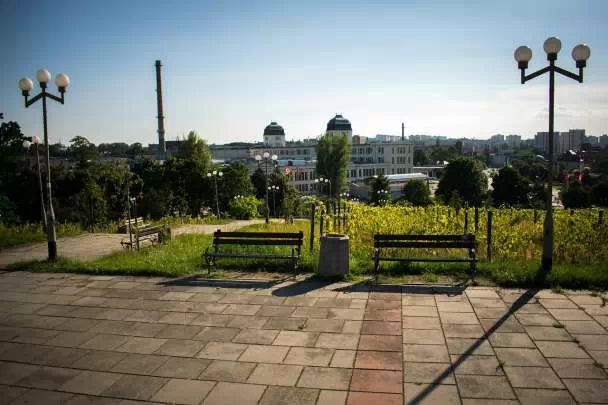 Widok ze wzgórza na miasto Zielona Góra