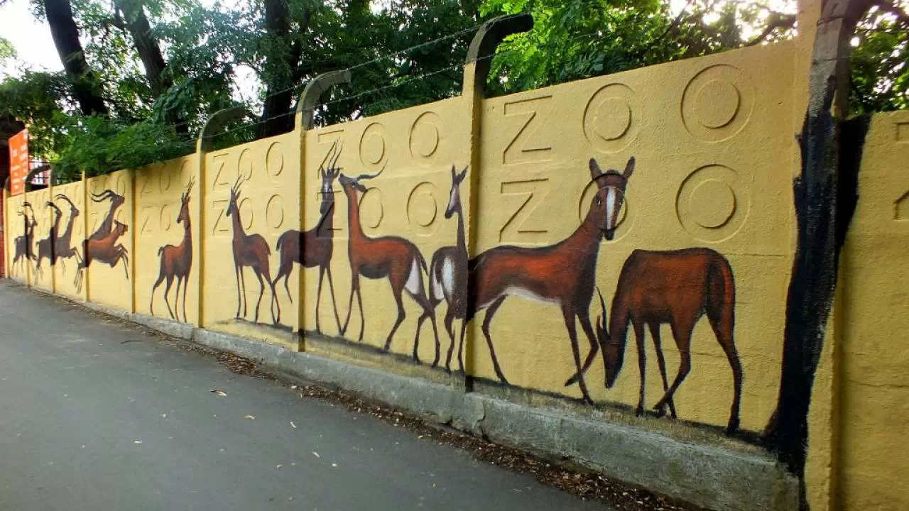 Mural w Zoo we Wrocławiu